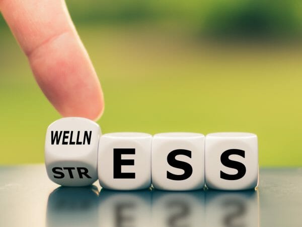 Mental Wellness Education